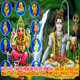 astrologer rupnathji email address