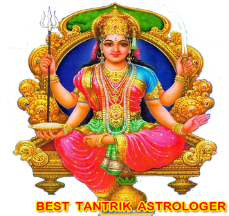 famous best great online astrologer