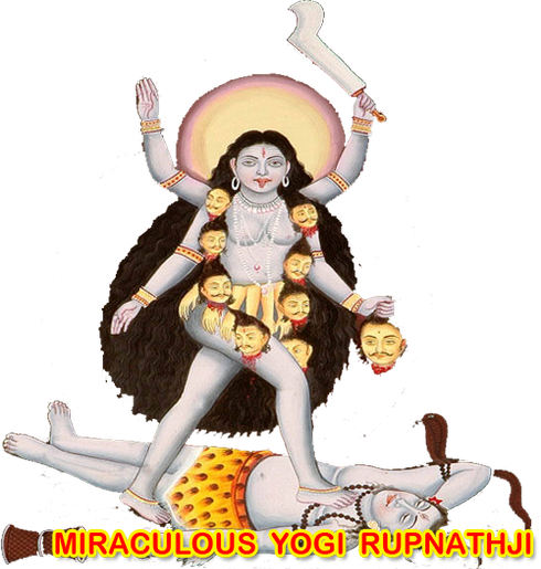 love guru astrologer