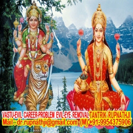 trusted astrologer of india