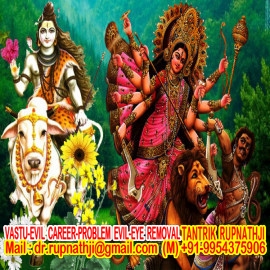 ask astrologer free