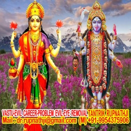 astrologer free