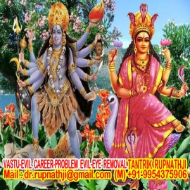astrologer maharaj