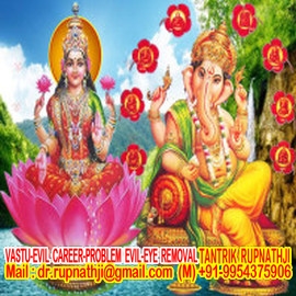 astrologer of india