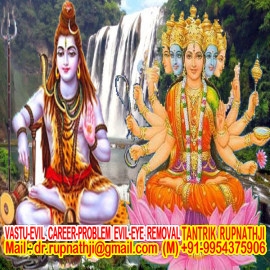 best astrologer