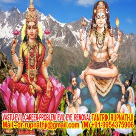bring your love back by tantra and ilam