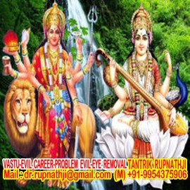 child astrologer