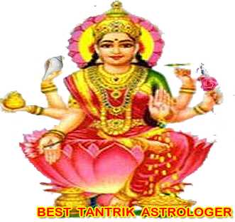 chinese astrology
