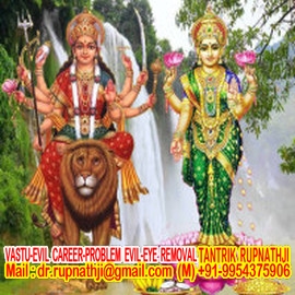 consult online