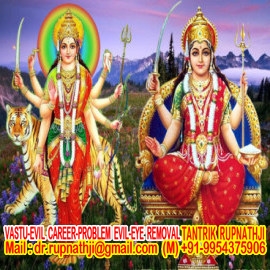 indian astrologer