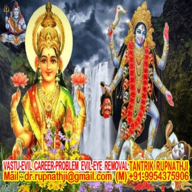 vedic astrologer
