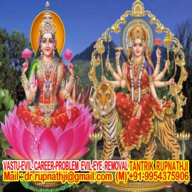 vedic jyotish